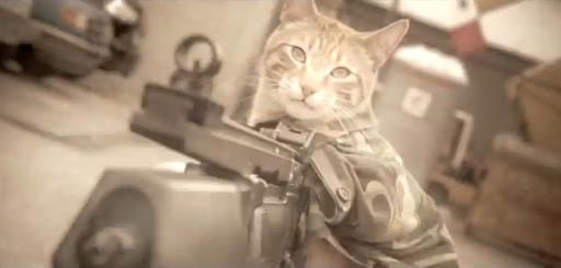 Medal of Honor (2010) - Medal of Honor Cat 